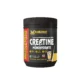 CREATINE MANGO FLAVOUR 250GM