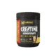 CREATINE ORANGE FLAVOUR 250GM