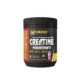 CREATINE WATERMELON FLAVOUR 250GM