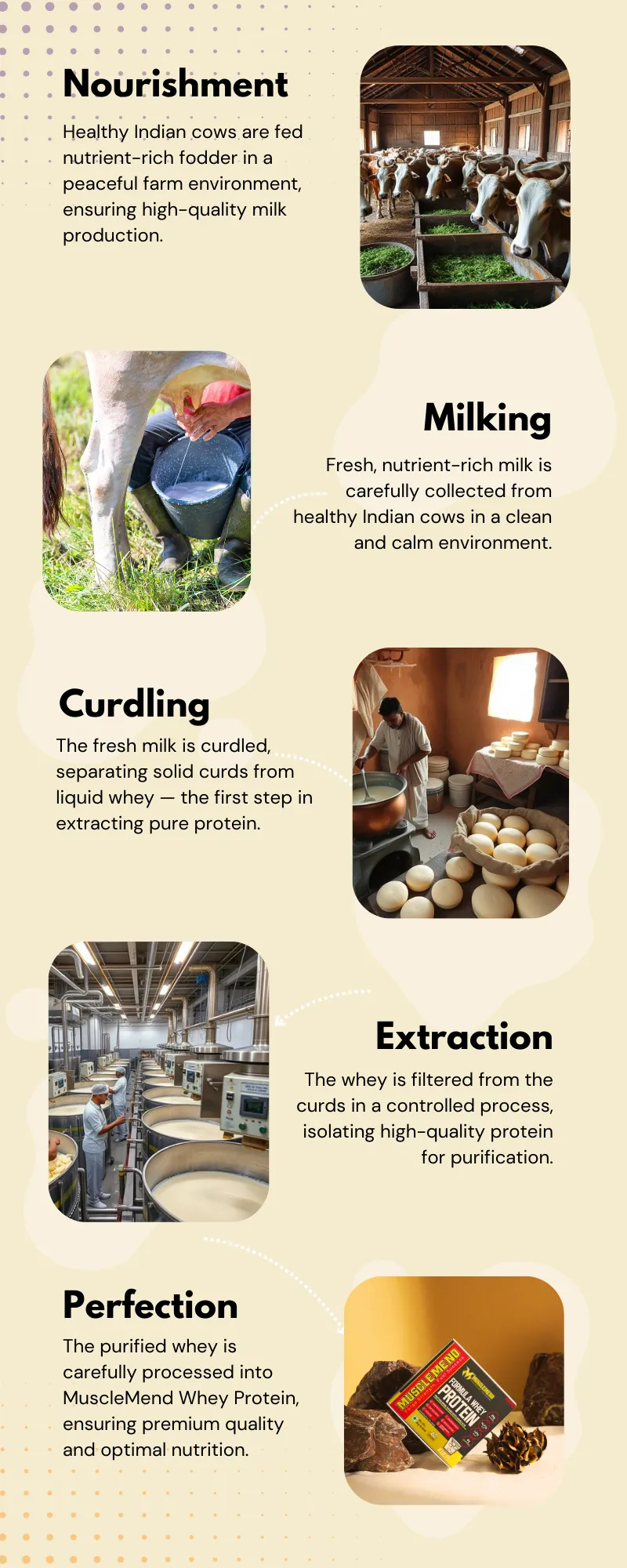 Whey protein making process 5 steps