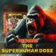 KONG PRE WORKOUT